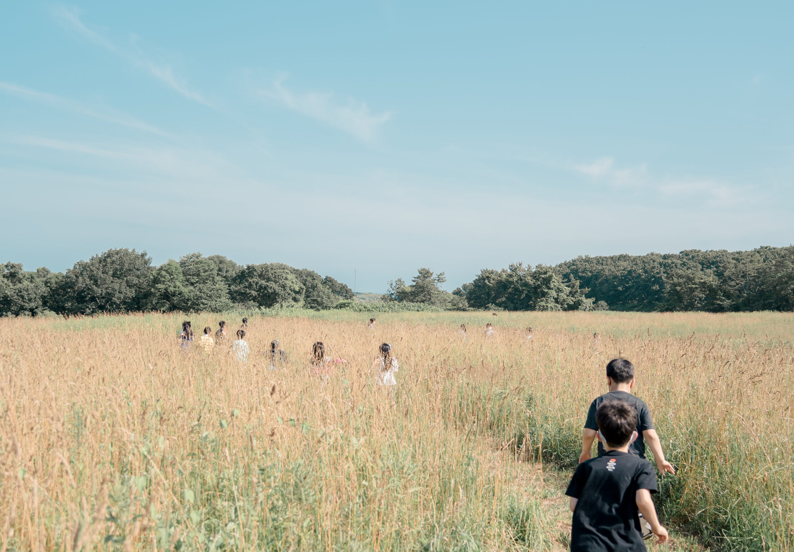 Horizontal_Children_Running